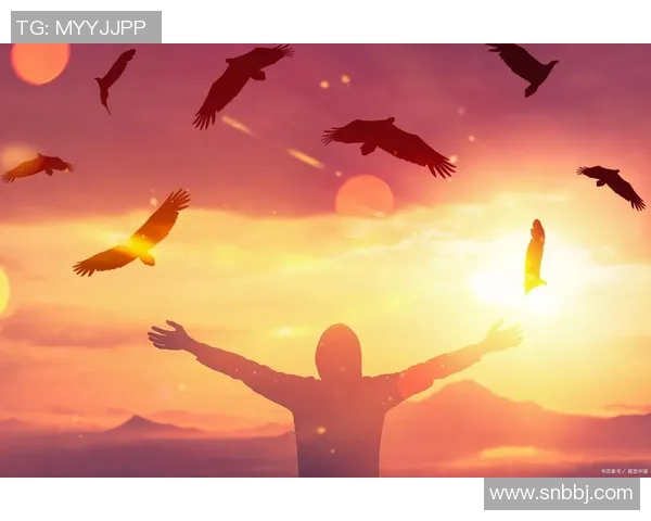 张帆的奋斗历程与成长故事揭示了青春的坚持与梦想的力量